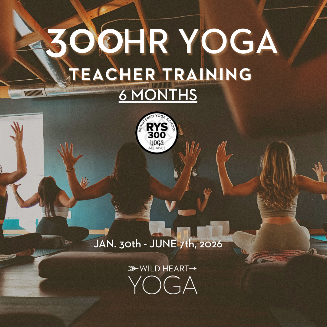 300 Hour Yoga Teacher Training - 2026