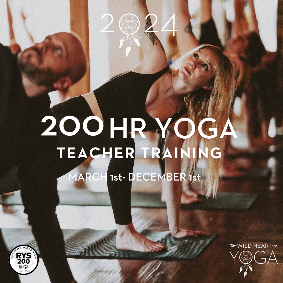 200 Hour Yoga Teacher Training: Spring 2024