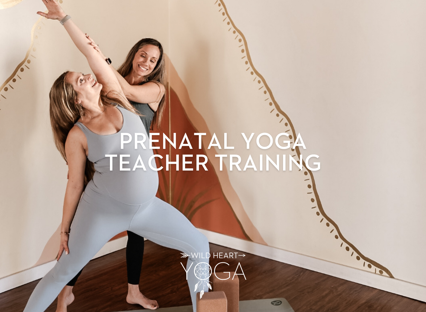 Prenatal Teacher Training